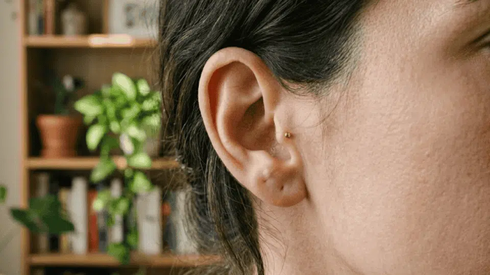 side profile of an ear with a tiny gold tragus stud, hair tied back, soft indoor light and blurred bookshelf background