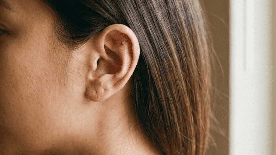 side profile portrait showing upper flat cartilage stud, straight hair, warm indoor light near window, soft wall backdrop