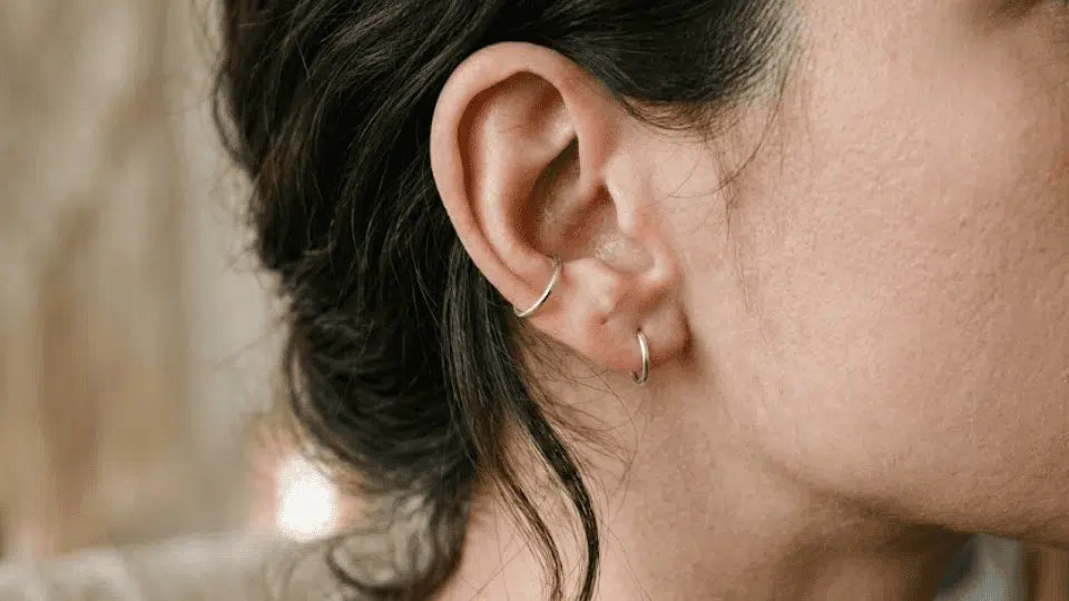 side view of an ear with a silver anti-tragus hoop and small lobe hoop, hair loosely tied back indoors