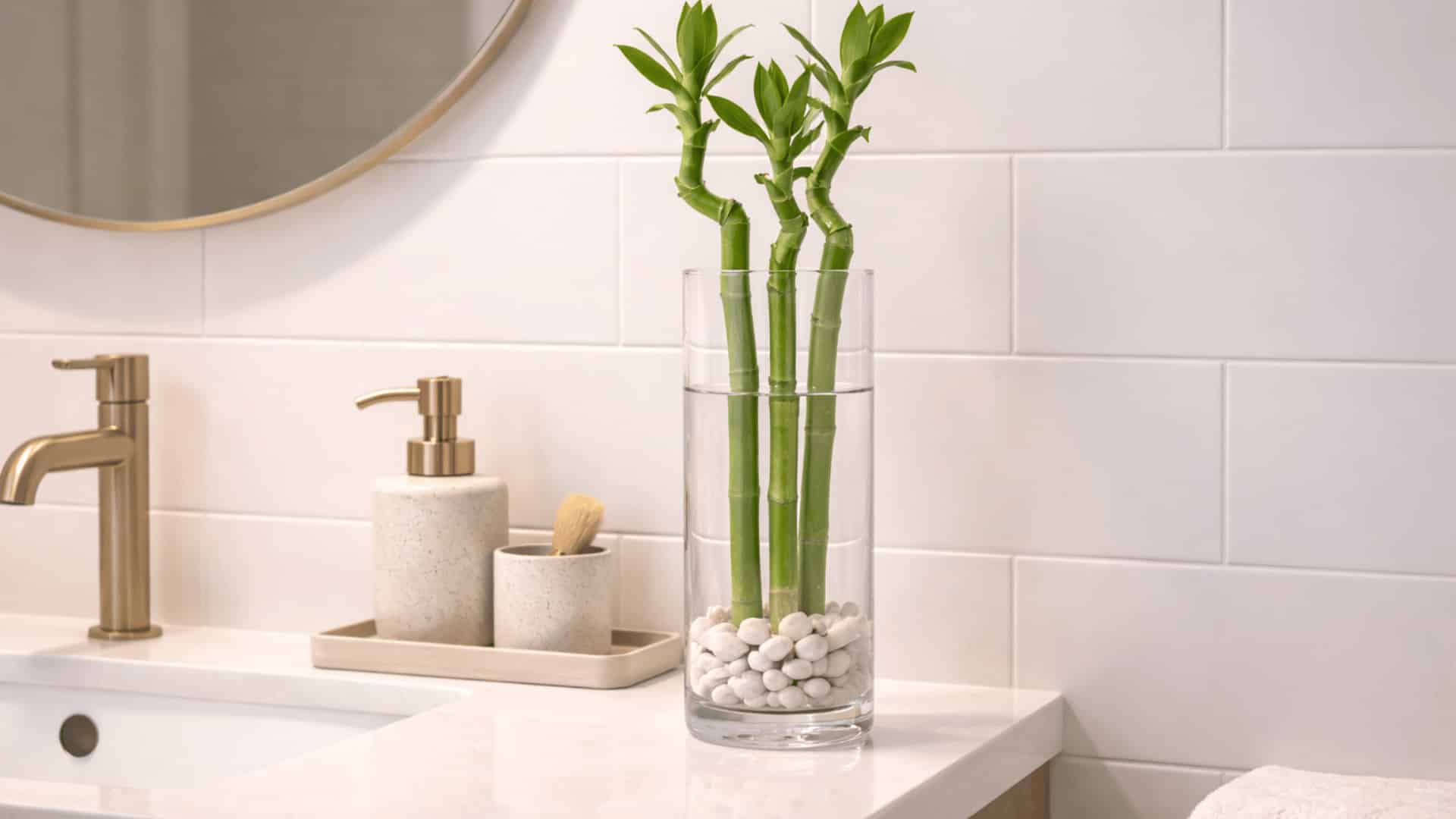 three lucky bamboo stalks in glass vase with white pebbles on bathroom vanity beside sink and mirror
