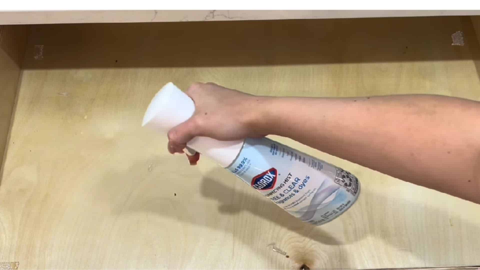 Wiping down and disinfecting kitchen cabinets for a fresh, hygienic base before reorganizing