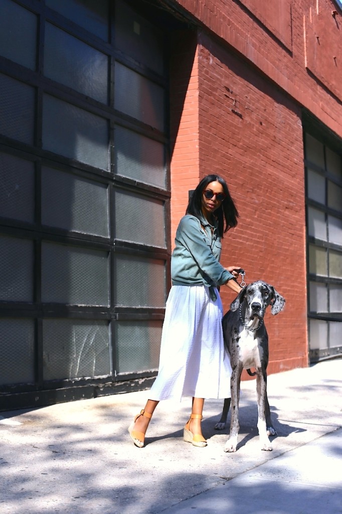 new-york-street-style-woman-with-dog-682x1024