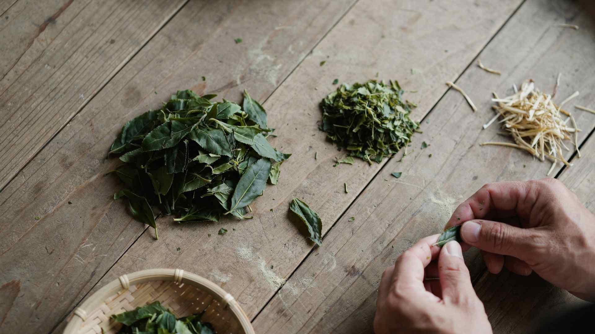 Hand sorting and separating fresh green matcha leaves into small piles on a wooden surface for processing or preparation.