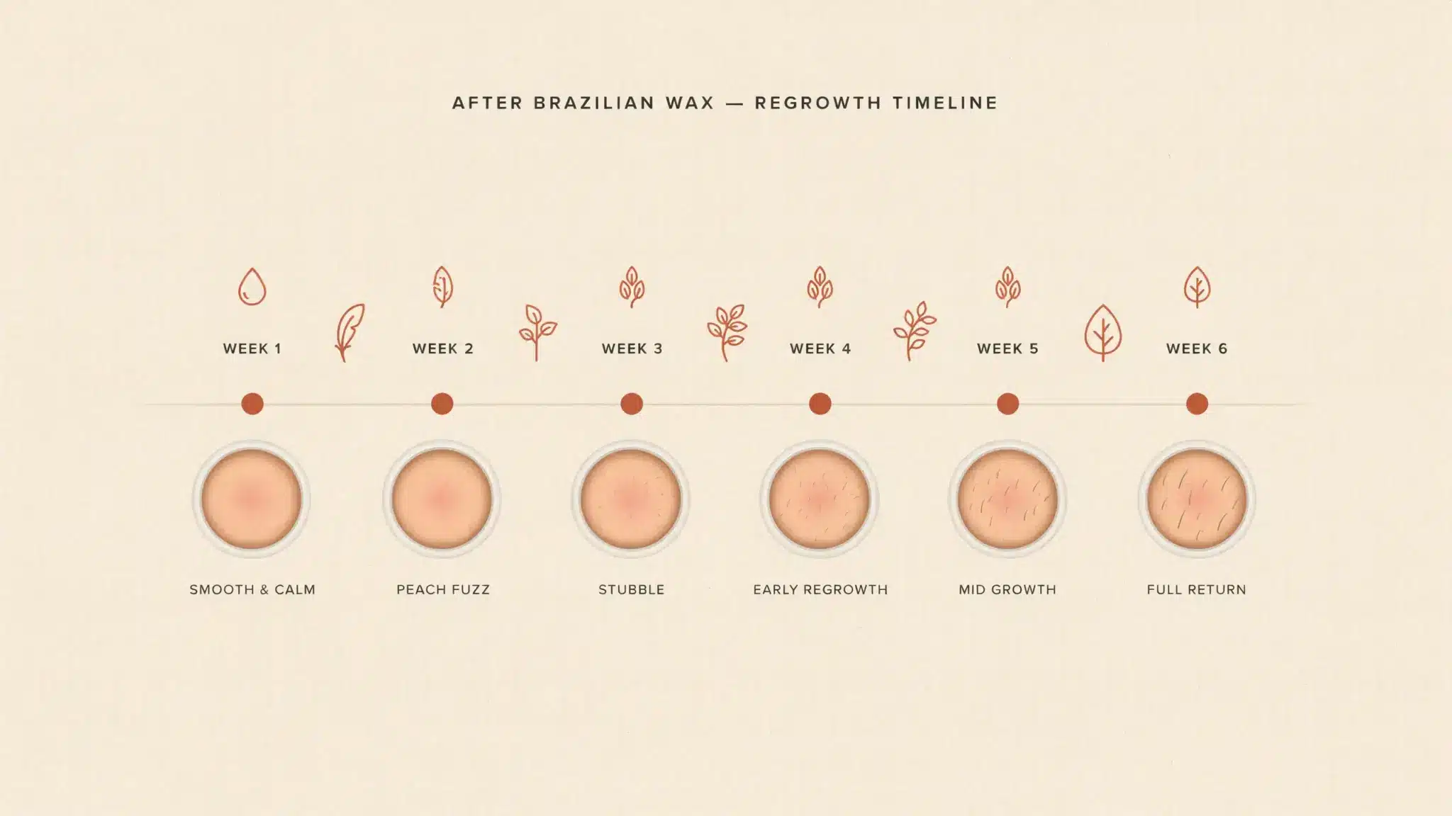 Week-by-week timeline showing skin changes and hair regrowth stages after a Brazilian wax treatment.